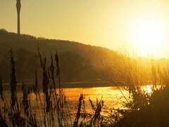 Elbufer im Herbst mit untergehender Sonne, Fernsehtum Dresden