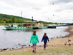 Elbdampfer auf der Elbe -
Uferaufnahme Richtung Fernsehturm